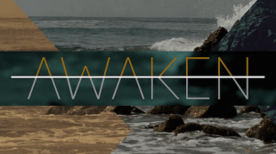 Awaken Series D.A. Horton